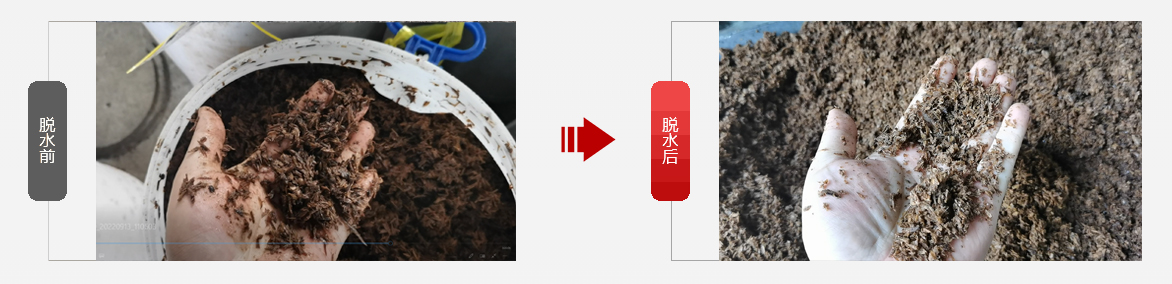 未標題-1.jpg 未標題-1.jpg